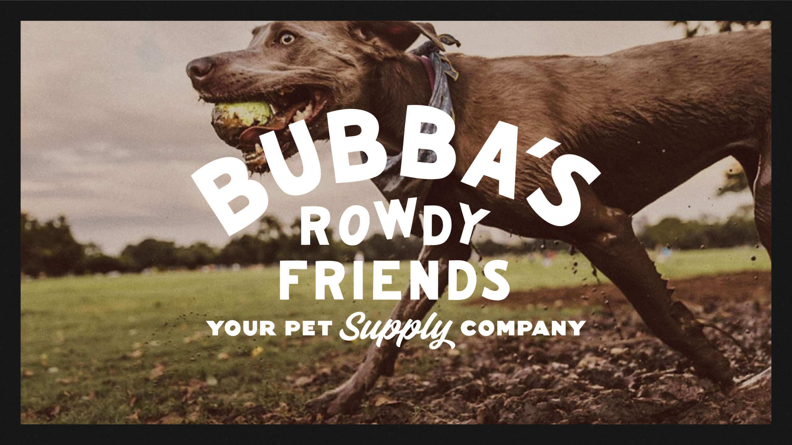 Bubba's Rowdy Friends – TBSullivan